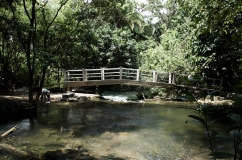 Yaxchilan creek